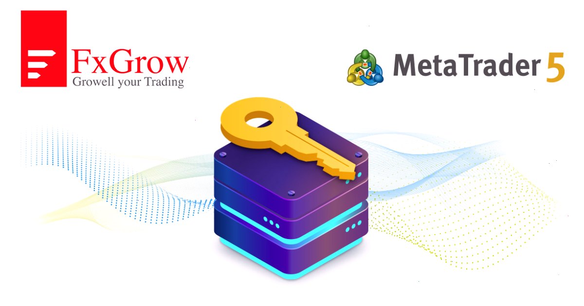 FxGrow Limited: “MetaTrader 5访问服务器主机服务拥有其他提供商无法比拟的优势”